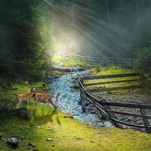 东条夏有无码电影
