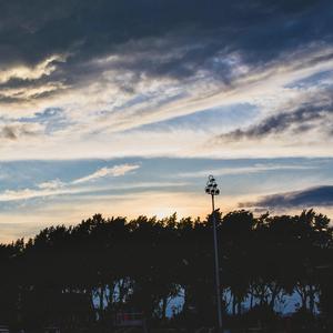 东条夏有无码电影
